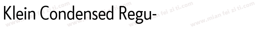 Klein Condensed Regu字体转换